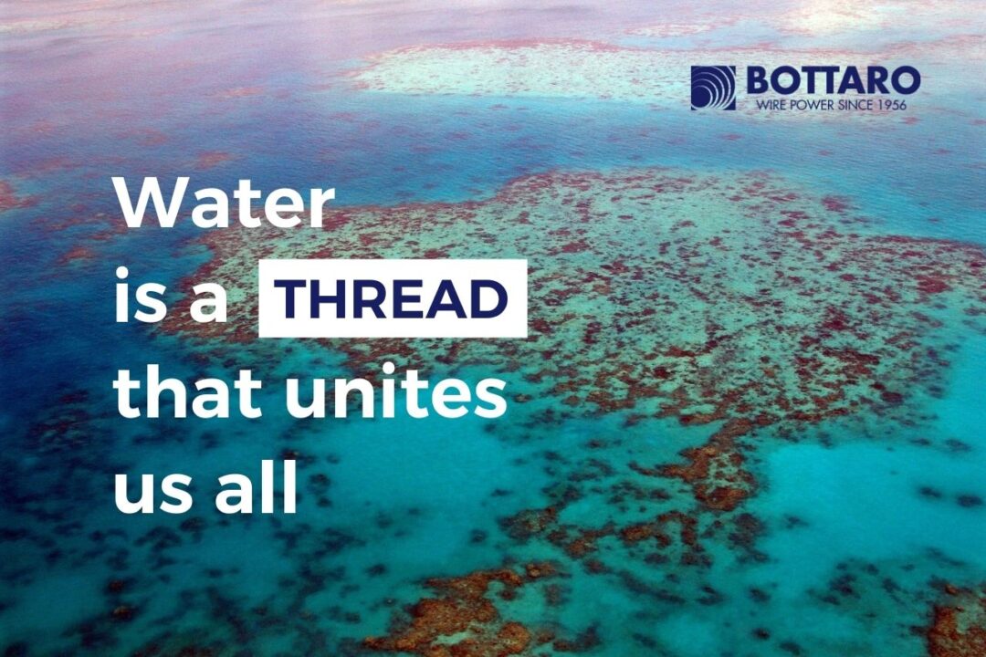 Giornata mondiale degli oceani