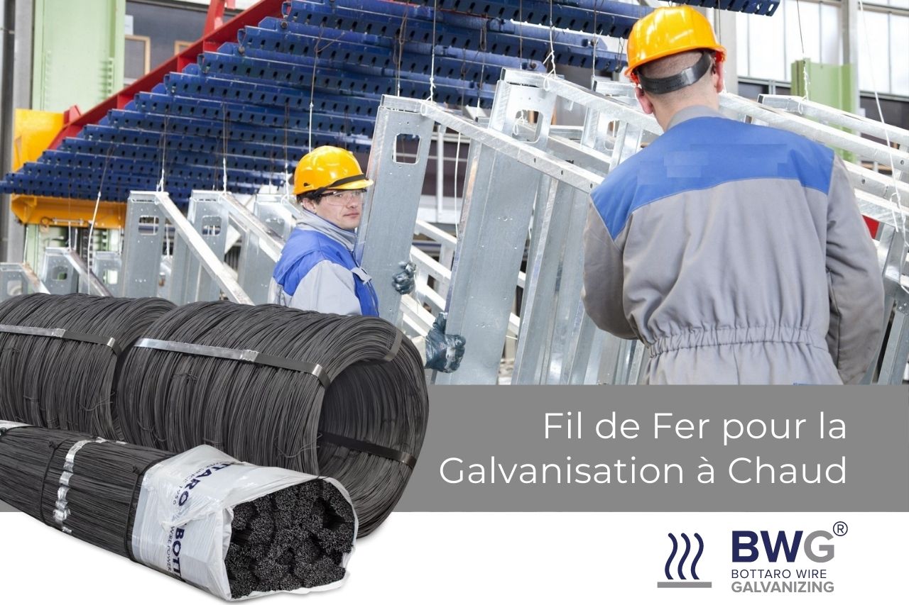 bottaro-bwg-et-bwgplus-une-tendance-croissante