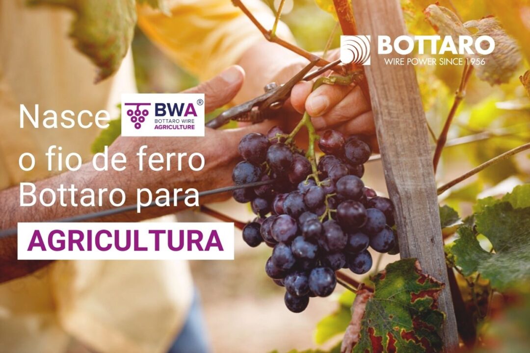 Nace BWA®, el alambre de hierro de Bottaro para la agricultura