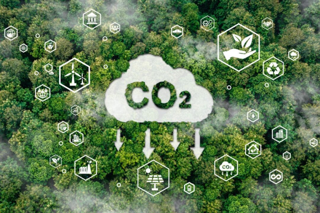 21 de septiembre: Día de Emisiones Cero.