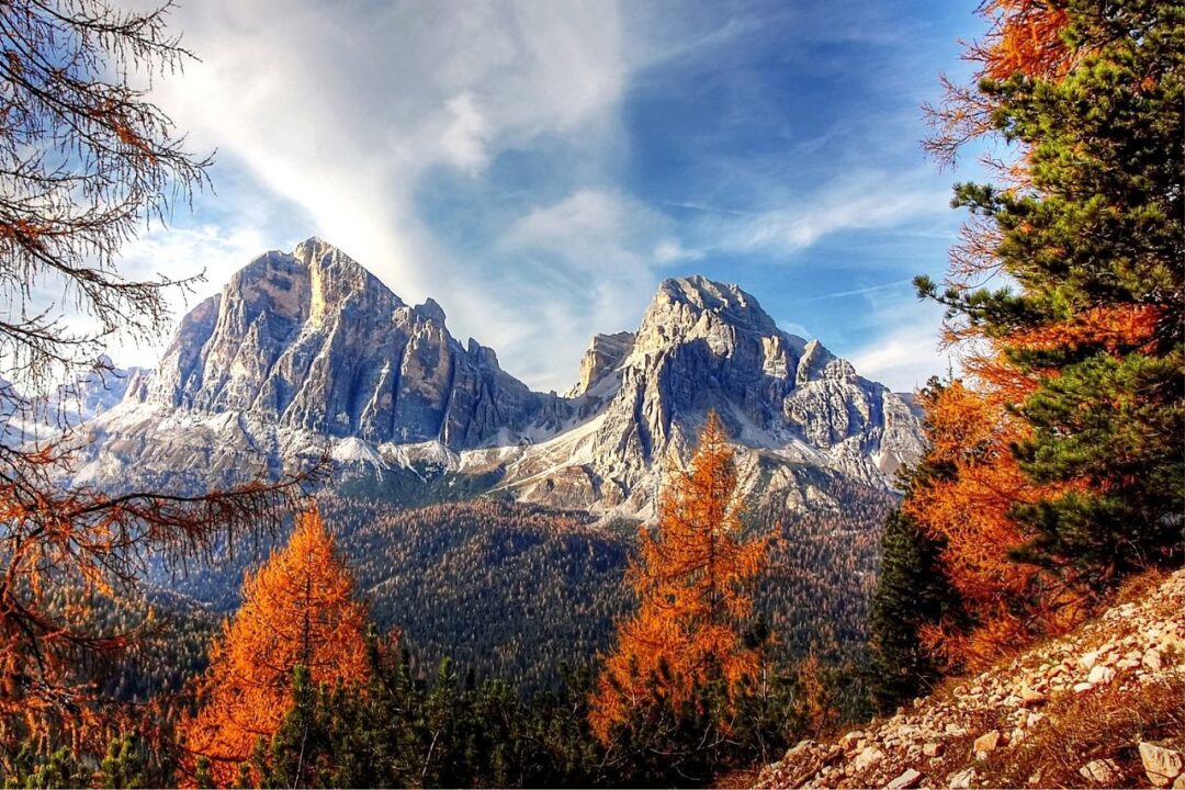 Chiusura di Ognissanti