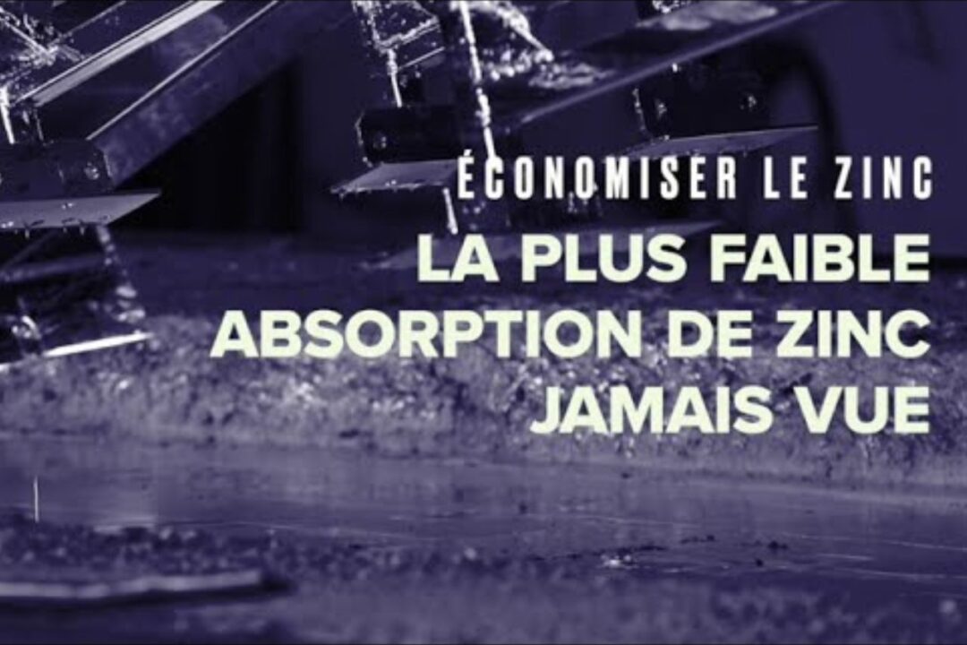 La nouvelle vidéo dédiée à BWG™