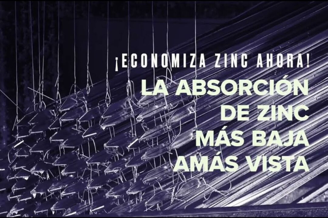 El nuevo video dedicado al BWG™