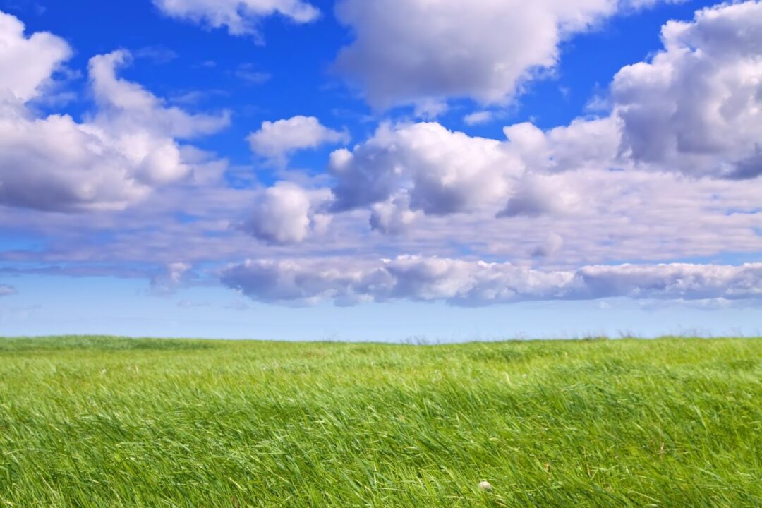 Il 21 settembre è la giornata zero emissioni.